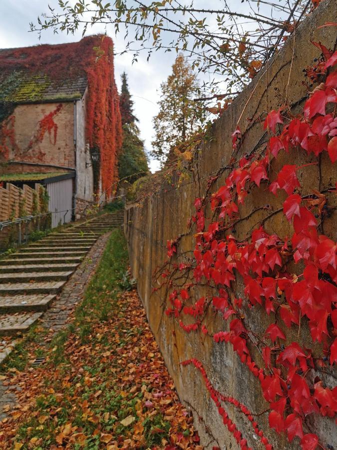 Gaestezimmer Reitinger Siegenburg Ngoại thất bức ảnh